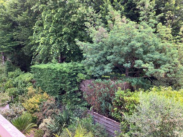 Appartement, à Saint-palais-sur-mer à 100 m de la mer,37.22m², 1er étage, 1 chambre