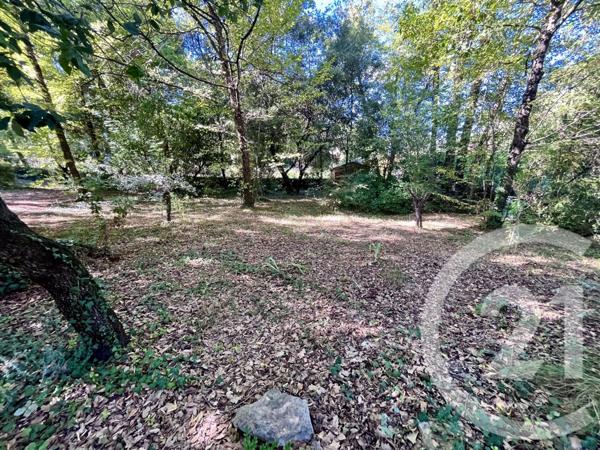 Maison à vendre  5 pièces - 176 m2 ROQUEFORT LES PINS - 06