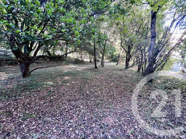 Maison à vendre  5 pièces - 176 m2 ROQUEFORT LES PINS - 06