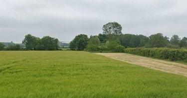 Terrain de loisirs - Bois - Etang à vendre à Chaveignes dans l'Indre-et-Loire (37120), ref : 37067-1062033