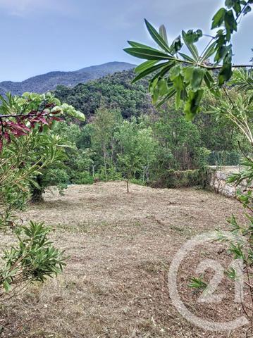 terrain à vendre  500 m2 AMELIE LES BAINS PALALDA - 66