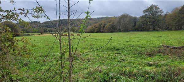 Maison à vendre |  Altillac |  5 pièces | 75 m²