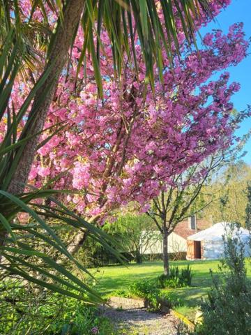 Maison  11 pièce(s) 320 m2