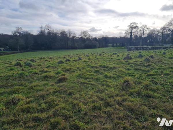 À Vendre à Pleugriffet Terrain à bâtir situé à pied du bourg