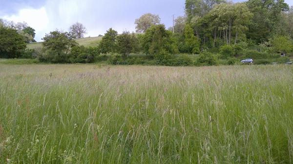Terrain 4380m2 Vue Pyrénées Mazeres-sur-Salat