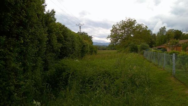 Terrain 4380m2 Vue Pyrénées Mazeres-sur-Salat
