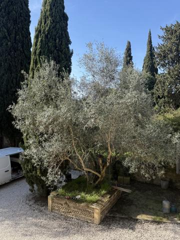 Sommières (30250) APPARTEMENT DE TYPE T5 coeur de sommieres