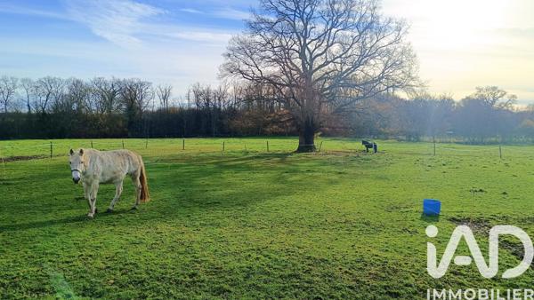 Maison à vendre 11 pièces 232 m² Arthon