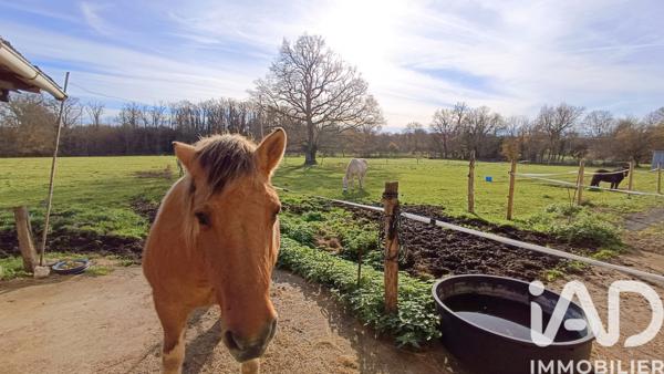 Maison à vendre 11 pièces 232 m² Arthon