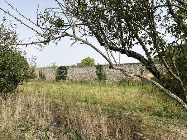 Dans le bourg de Nueil-les-Aubiers, terrain de 7 080 m², dont 600 m² constructibles, avec plan d'eau. Une partie de la parcelle est close par un mur en pierre.