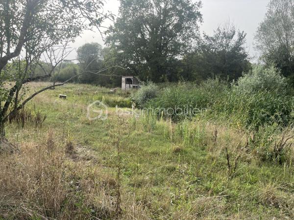 Dans le bourg de Nueil-les-Aubiers, terrain de 7 080 m², dont 600 m² constructibles, avec plan d'eau. Une partie de la parcelle est close par un mur en pierre.