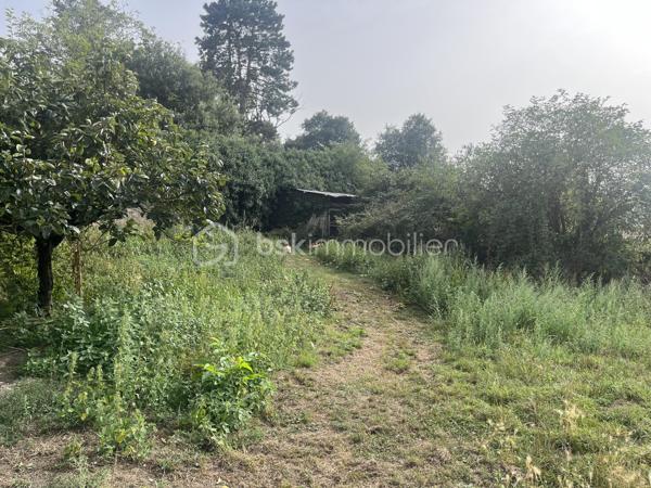 Dans le bourg de Nueil-les-Aubiers, terrain de 7 080 m², dont 600 m² constructibles, avec plan d'eau. Une partie de la parcelle est close par un mur en pierre.