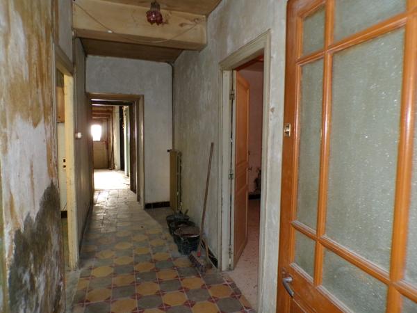À Vendre : Maison de Ville à Rénover avec Grange et Jardin – Villasavary