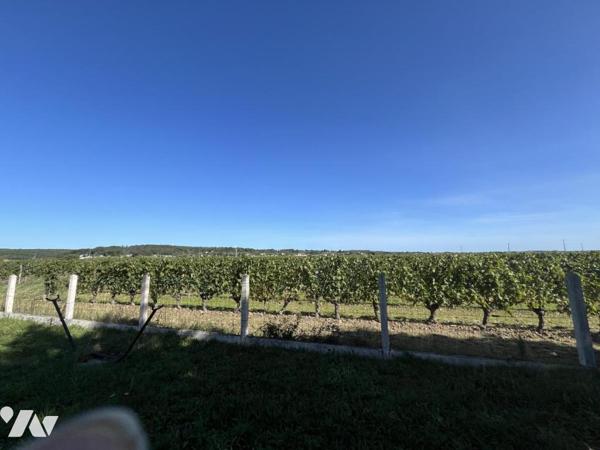 Vente Maison à Panzoult