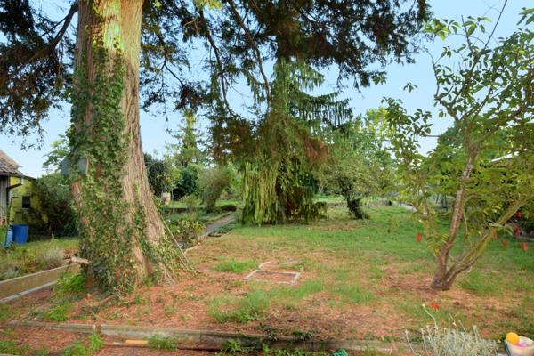 Maison à vendre 8 pièces ENSISHEIM (68)