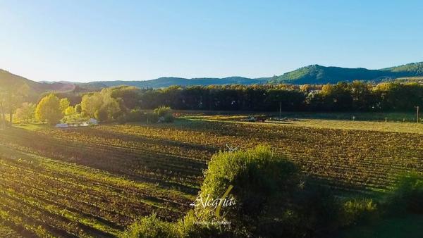 Bastide lumineuse & confidentielle entre vignes et oliviers.