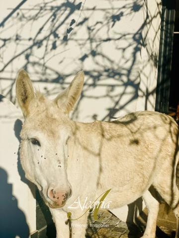Bastide lumineuse & confidentielle entre vignes et oliviers.