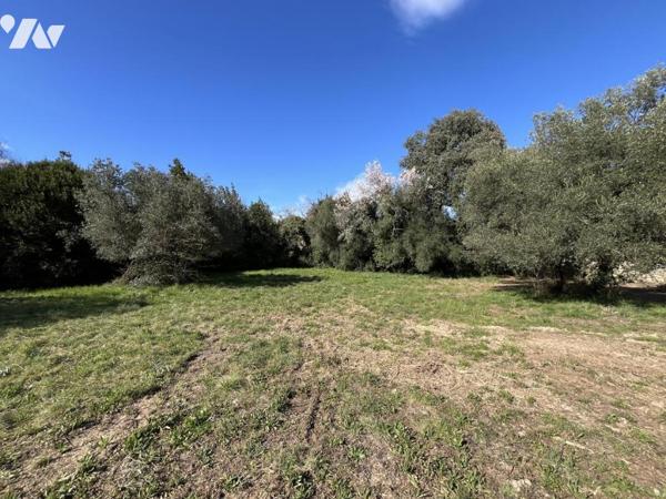 Terrain à bâtir- Uzès