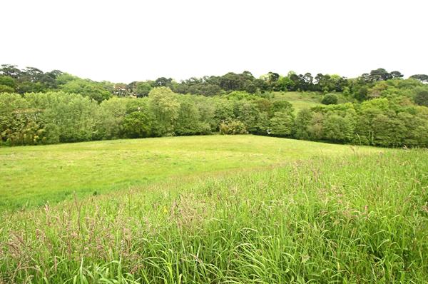 Achat terrain Biarritz - 38394 m² - 1 785 000 €