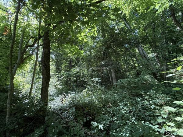 Vente Terrain 3550 m2 à Nijon