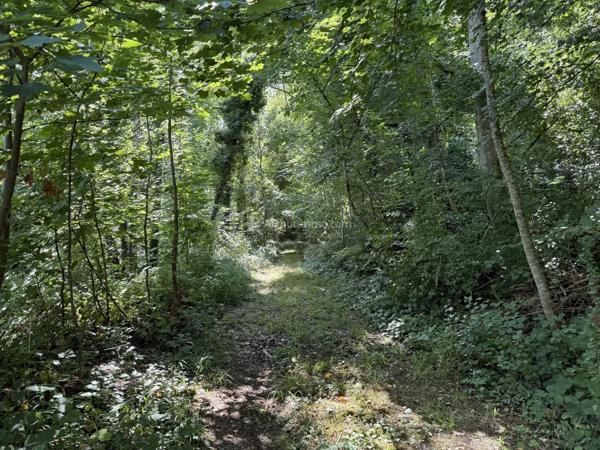 Vente Terrain 3550 m2 à Nijon