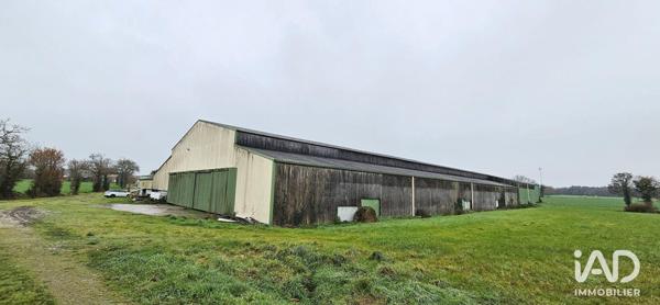 Hangar à vendre 4 500 m² Beaufou