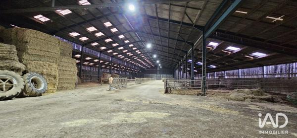 Hangar à vendre 4 500 m² Beaufou