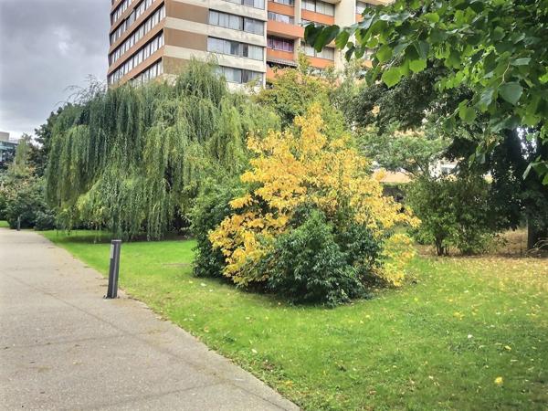 Vente Appartement 2 pièces à Bobigny