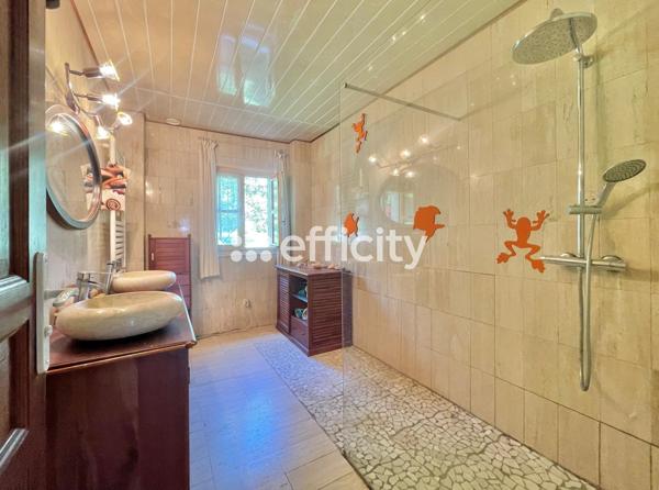 Maison 10 pièces - 400 m² Bien prestige