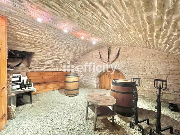 Maison 10 pièces - 400 m² Bien prestige