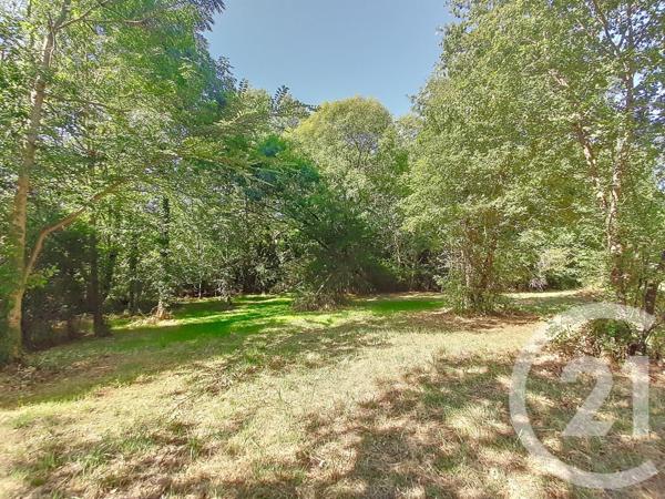 Terrain à vendre  6300 m2 AUTERIVE - 31