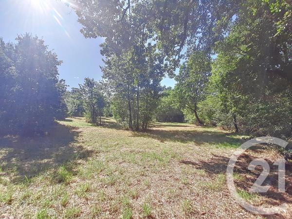 Terrain à vendre  6300 m2 AUTERIVE - 31