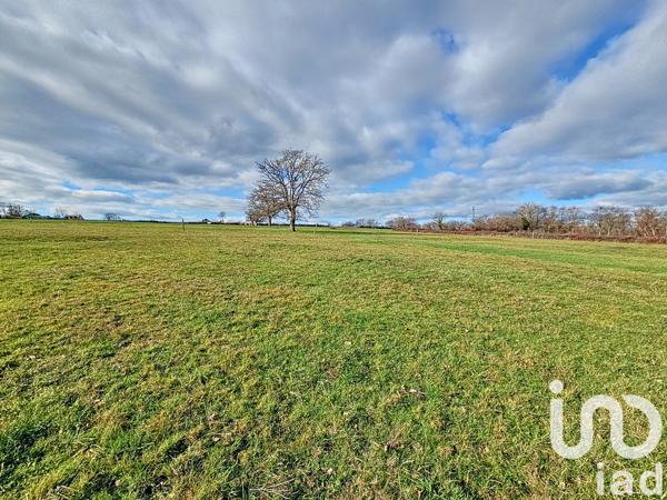 Terrain à vendre 