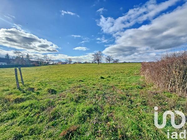 Terrain à vendre 