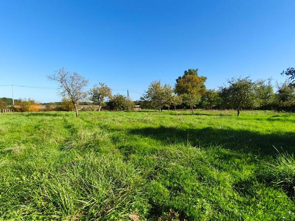 Corps de ferme à Chaunay
