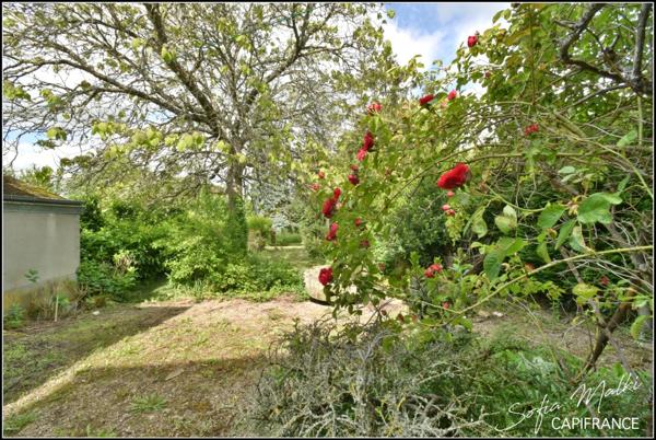 Maison à vendre 8 pièces PREVERANGES (18)