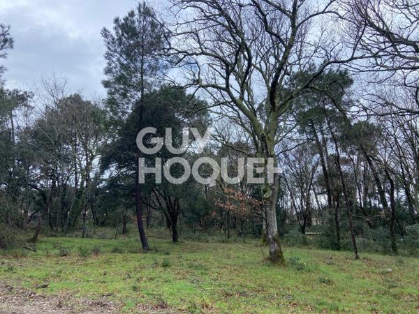 Terrain Les Mathes 764 m2