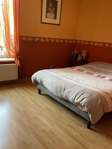 Immeuble d'environ 375 m² et fonds de commerce sur Luneville (54300)