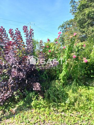 Exceptionnelle propriété sur environ 9,5 hectares attenants.