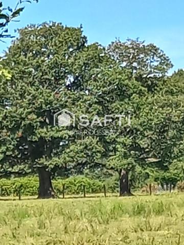 Exceptionnelle propriété sur environ 9,5 hectares attenants.