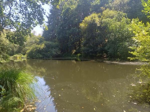Achat - Maison Plouay 56240 7 pièces 144 m 2 10640 m 2