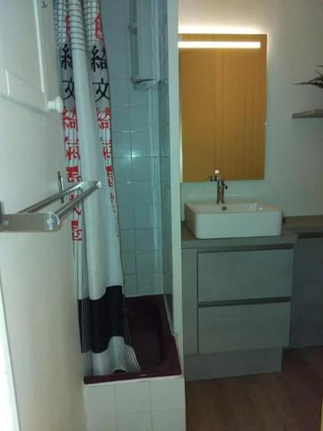 Appartement à louer à Grenoble (38000)