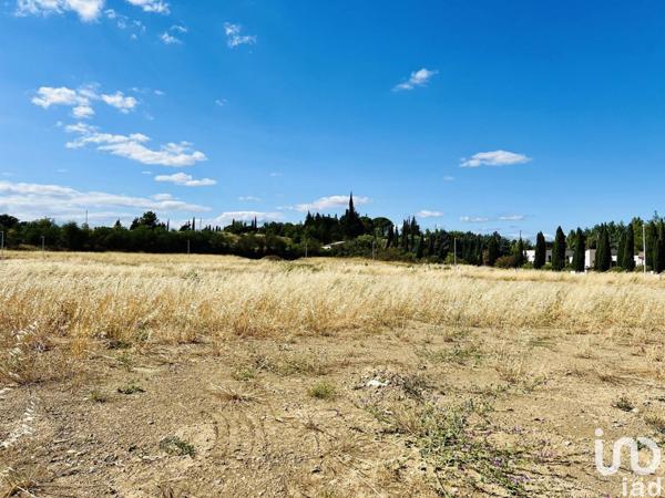 Terrain à vendre 441 m² Ferrals-les-Corbières