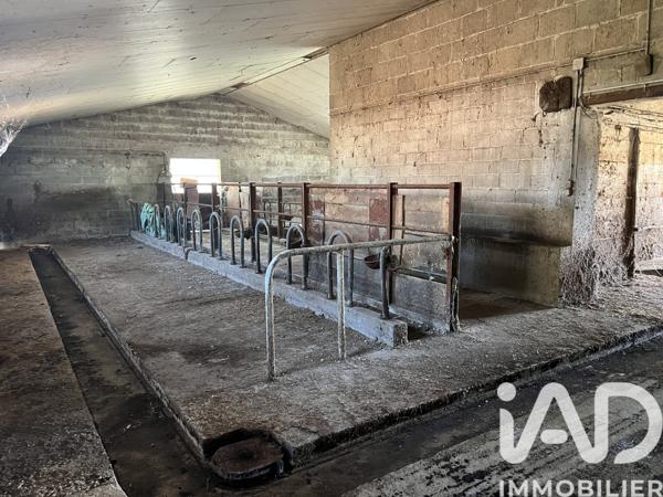 Maison à vendre 4 pièces 88 m² Molinet
