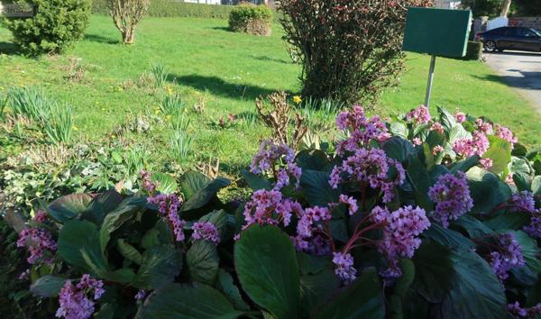 Maison individuelle à vendre à Montauban-de-Bretagne en Ille-et-Vilaine (35360), ref : 050/130