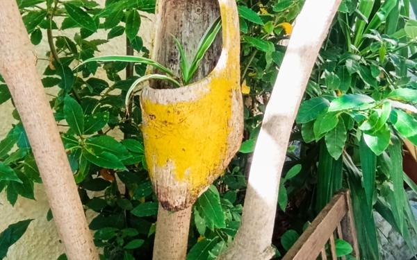 Maison à vendre    5 pièces • 162,96 m2 Marseille 11