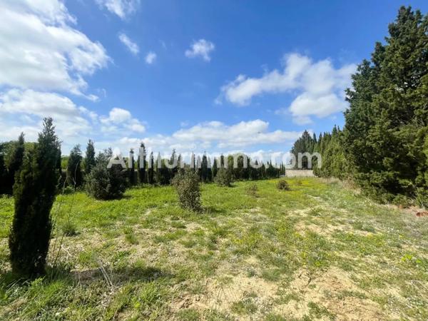 Vente Propriété 10 pièces à Fleury