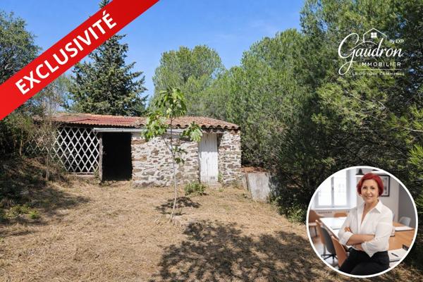 Terrain de loisir 6 070 m² avec Casot en pierre déclaré