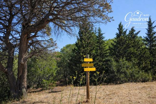 Terrain de loisir 6 070 m² avec Casot en pierre déclaré