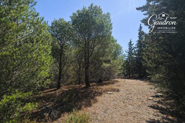 Terrain de loisir 6 070 m² avec Casot en pierre déclaré